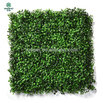 follaje verde artificial de la estera del seto de BOXWOOD para la decoración de la pared